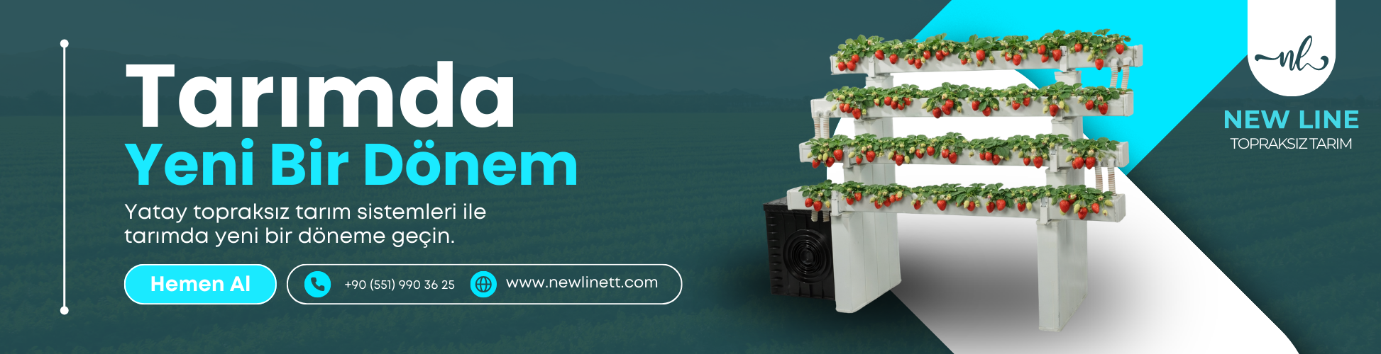 Yatay Topraksız Tarım Ürünleri